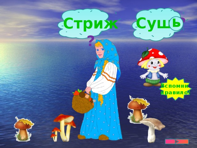 ь  Суш ? Стриж ? Вспомни правило!