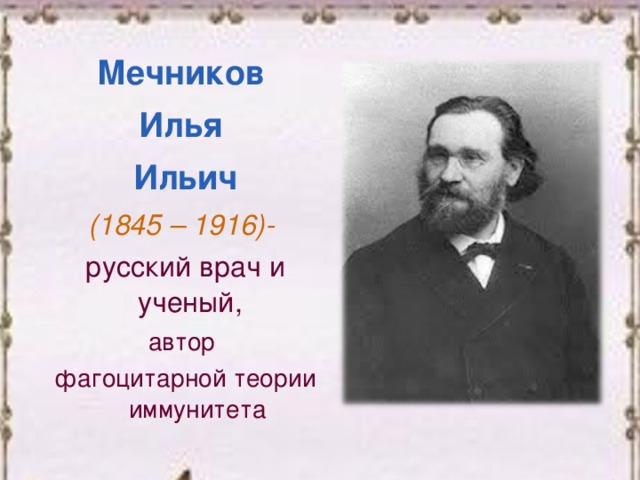 Мечников Илья Ильич (1845 – 1916)- русский врач и ученый,  автор фагоцитарной теории иммунитета