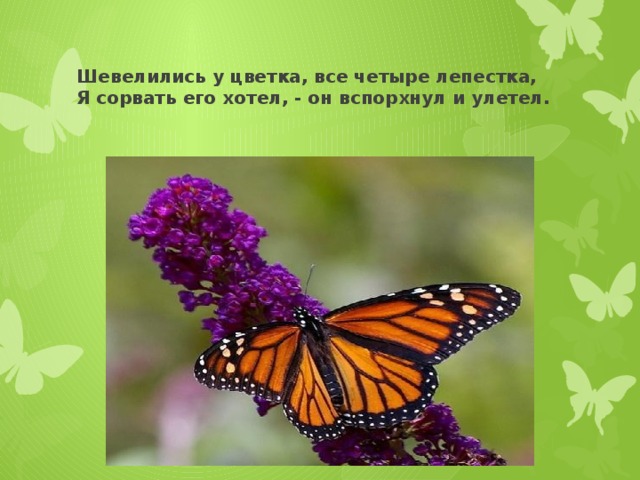 Шевелились у цветка, все четыре лепестка,  Я сорвать его хотел, - он вспорхнул и улетел.