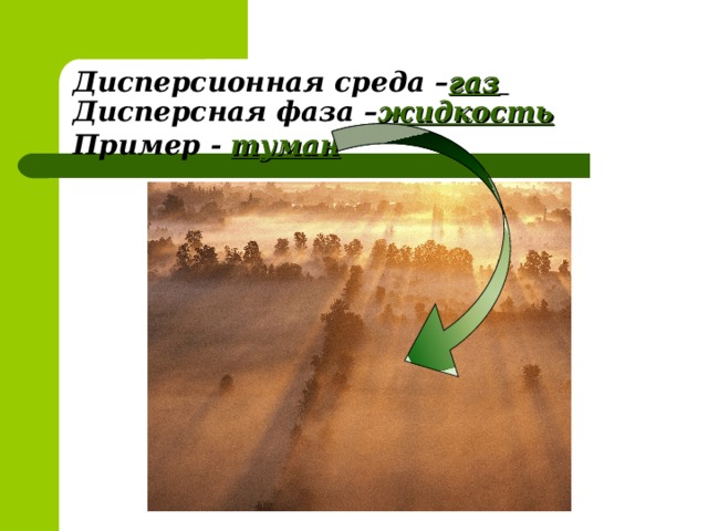 Дисперсионная среда – газ   Дисперсная фаза – жидкость   Пример -  туман